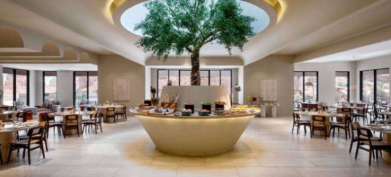 埃尔奥拉沙登度假村(Shaden Resort)图片