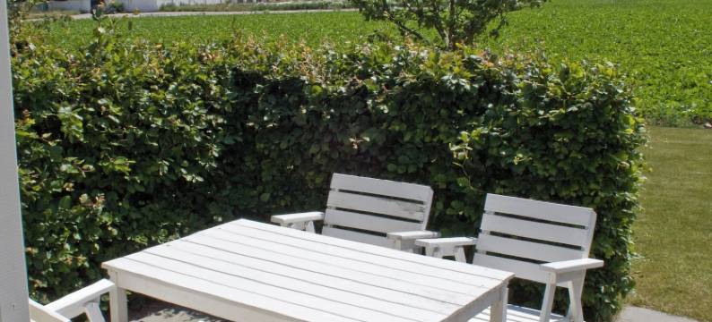 奥罗姆斯尼加德农场酒店(Örums Nygård Gårdshotell)图片