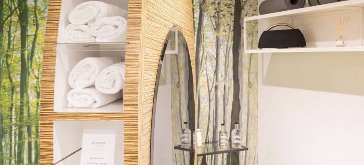 斯特拉斯堡中心小法兰西美居酒店(Hôtel Mercure Strasbourg Centre Petite France)图片