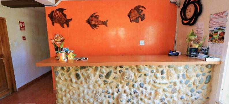 卡耶6号酒店(Hotel Calle 6)图片