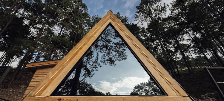 小松树豪华露营(Tiny Pines Glamping)图片