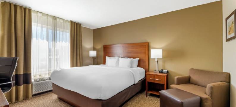 波特舒适套房酒店 - 近印第安纳沙丘(Comfort Inn & Suites Porter Near Indiana Dunes)图片