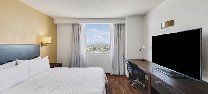 节日酒店快捷 杜兰戈(Fiesta Inn Express Durango)图片