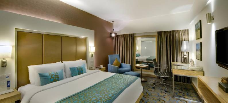 艾哈迈达巴德傲世广场酒店(Pride Plaza Hotel, Ahmedabad)图片