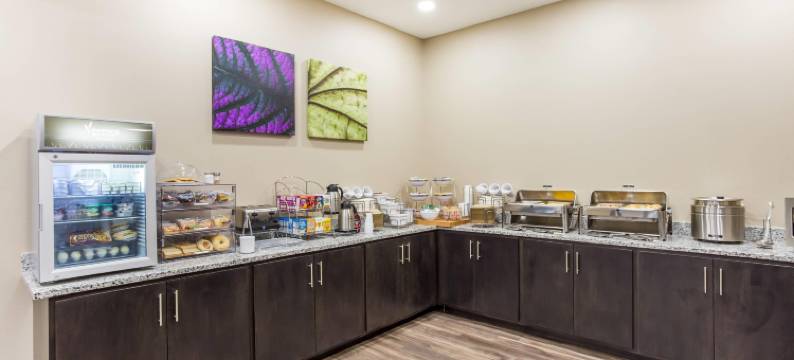 洛根俄亥俄霍金希尔斯美茵斯坦套房酒店(MainStay Suites Logan Ohio-Hocking Hills)图片