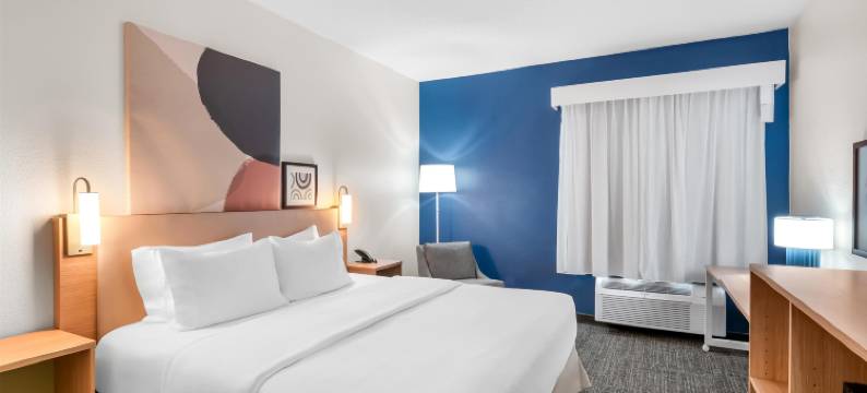 安娜堡南希尔顿Spark酒店(Spark by Hilton Ann Arbor South)图片