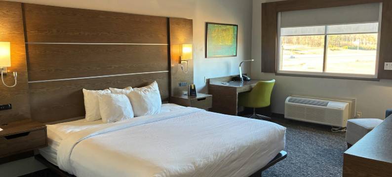 舒适套房酒店 - 近路易斯维尔湖(Comfort Inn & Suites Near Lake Guntersville)图片