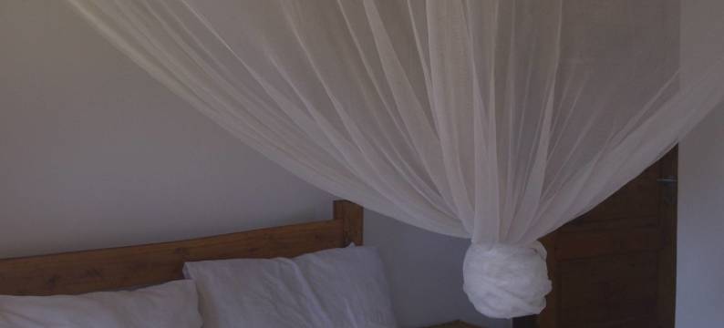 甘波泽尼旅馆(Gamboozini Lodge)图片