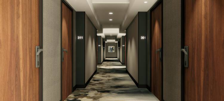 北温哥华希尔顿逸林酒店(DoubleTree by Hilton North Vancouver)图片