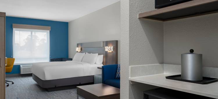 智选假日套房酒店亚历山德里亚(Holiday Inn Express & Suites Alexandria)图片