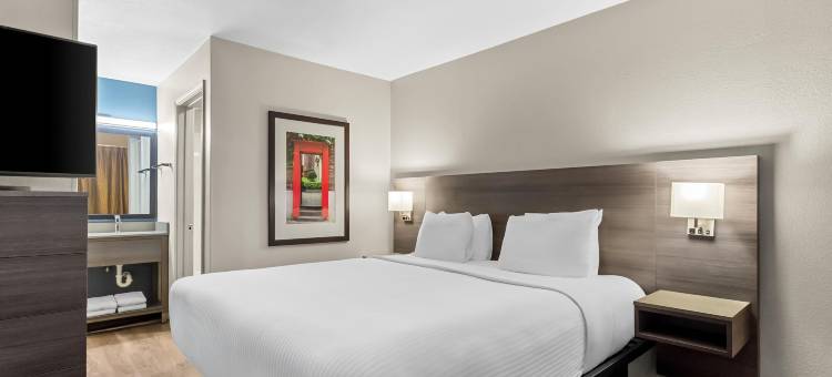 斯塔福德索内斯塔简单套房酒店(Sonesta Simply Suites Stafford)图片