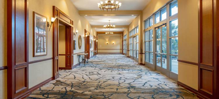 圣安东尼奥希尔顿山间乡村酒店(Hilton San Antonio Hill Country)图片