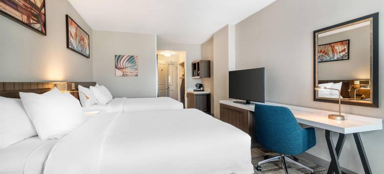 奥尔巴尼市希尔顿花园酒店(Hilton Garden Inn Albany/Suny Area)图片