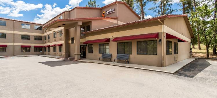 城中舒适套房酒店(Comfort Inn & Suites Midtown)图片