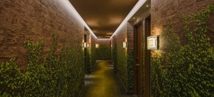 纽约切尔西万丽酒店(Renaissance New York Chelsea Hotel)图片