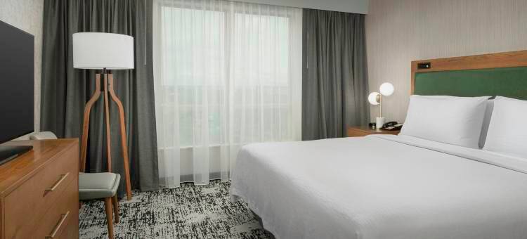 杜勒斯北劳登希尔顿安泊酒店(Embassy Suites by Hilton Dulles North Loudoun)图片