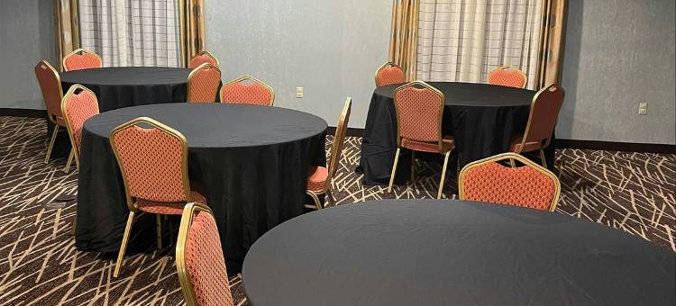 底特律梅尔文代尔迪尔伯恩红顶套房酒店(Red Roof Inn & Suites Detroit - Melvindale/ Dearborn)图片