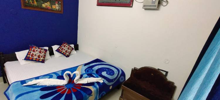 哈维利塔拉加尔宫酒店(Haveli Taragarh Palace)图片