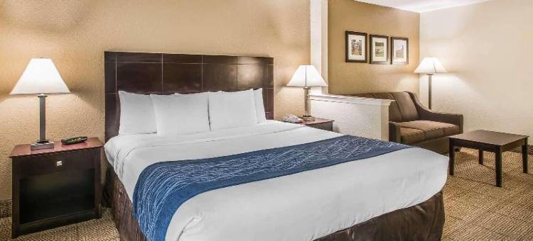 舒适套房酒店-近迪兰大学(Comfort Inn & Suites DeLand - Near University)图片