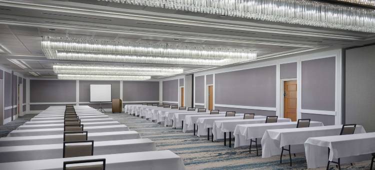 图森东希尔顿安泊酒店(Embassy Suites by Hilton Tucson East)图片