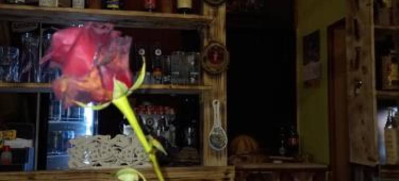 Holiday Home Nature Neno图片