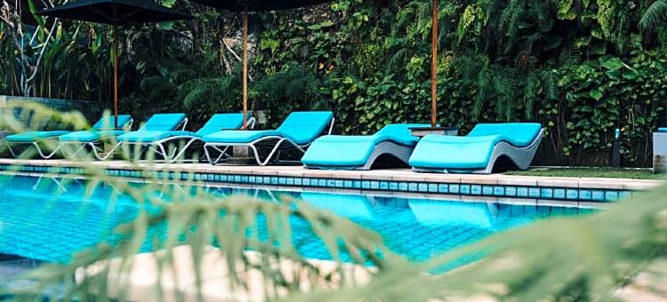 爪哇湾海滩酒店(JavaCove Beach Hotel)图片