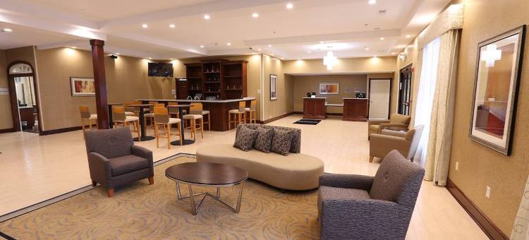 大急流城机场温德姆花园酒店(Wyndham Garden Grand Rapids Airport)图片