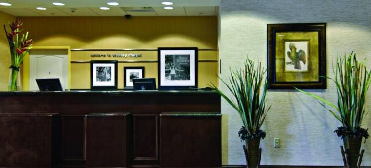坦帕韦斯利查普尔欢朋套房酒店(Hampton Inn & Suites Tampa-Wesley Chapel)图片