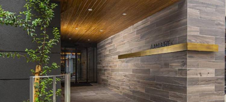 阿玛内克酒店-蒲田站前(HOTEL AMANEK Kamata-Eki Mae)图片