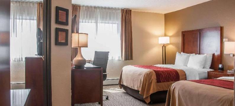 舒适酒店(Comfort Inn)图片