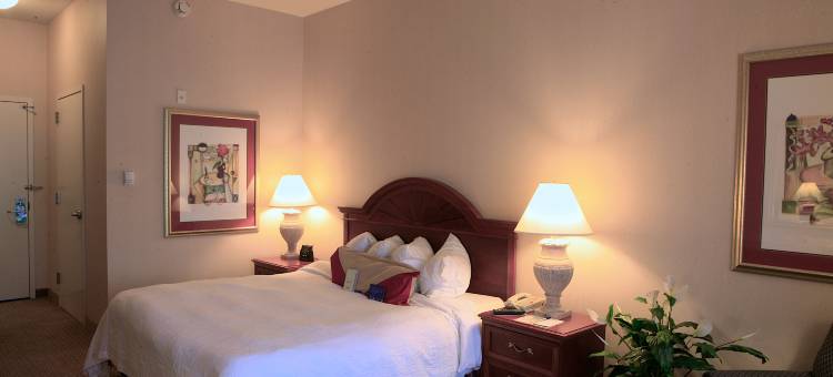 卡拉巴萨斯希尔顿花园酒店(Hilton Garden Inn Calabasas)图片