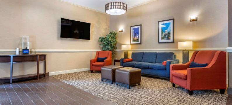 舒适套房酒店(Comfort Inn & Suites)图片