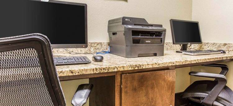 棒球场区舒适套房酒店(Comfort Inn & Suites Ballpark Area)图片