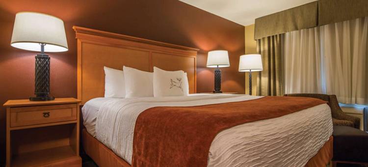 鹿园贝斯特韦斯特优质套房酒店(Best Western Plus Deer Park Hotel and Suites)图片