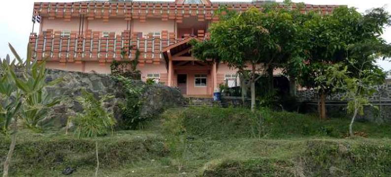 郁金香咖啡厅旅馆(Tulip Guest House & Cafe)图片