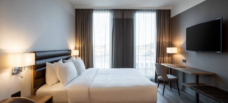 AC酒店-伍兹堡(AC Hotel Wuerzburg)图片