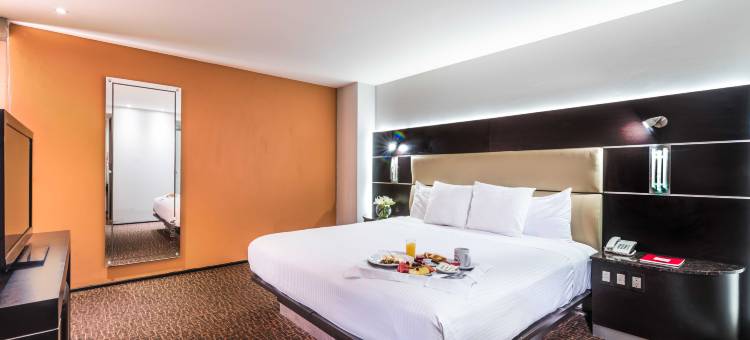 瑞佛玛埃克城市酒店(Exe Cities Reforma)图片