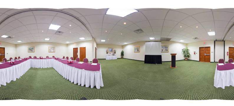 Holiday Inn 庞塞和热带娱乐场(Holiday Inn PONCE & TROPICAL CASINO by IHG)图片