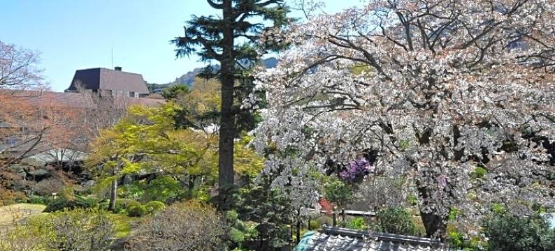 吉池日式旅馆(Yoshiike Ryokan)图片