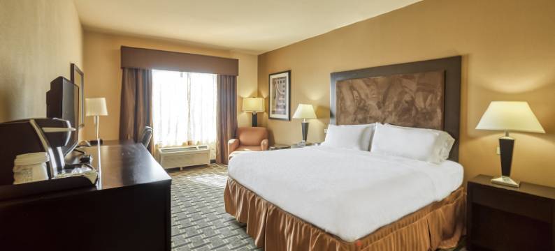 智选假日套房酒店比维尔 by IHG(Holiday Inn Express & Suites Beeville by IHG)图片