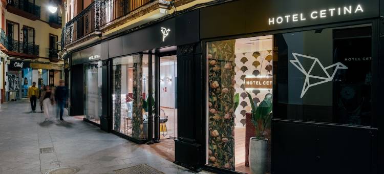 塞维利亚塞蒂纳纺织之家酒店(Hotel Cetina Casa de las Telas Sevilla)图片