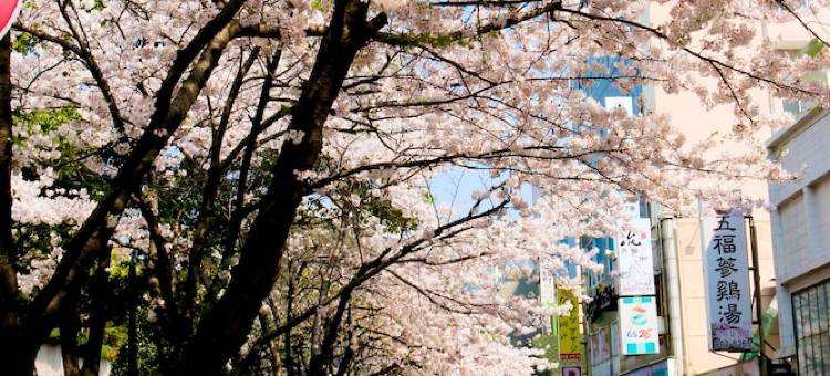 釜山乐天酒店(Lotte Hotel Busan)图片