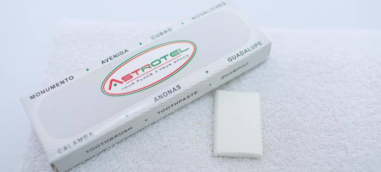 阿斯特罗特尔卡兰巴酒店(Astrotel Calamba)图片