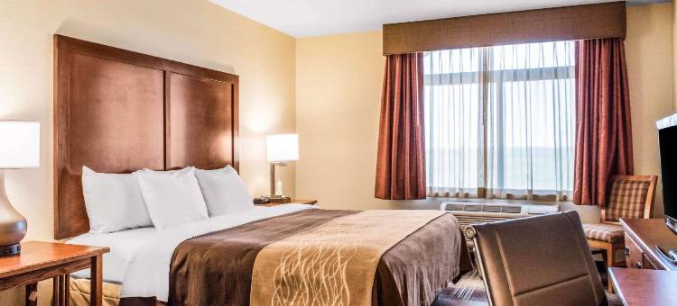谢里丹舒适套房酒店(Comfort Inn & Suites Sheridan)图片