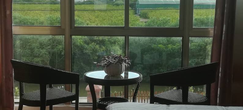 崇明岛陈家镇农村小洋房特色民宿(北陈公路分店)图片