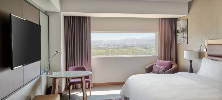 圣路易波托西美洲嘉年华酒店(Fiesta Americana San Luis Potosi)图片