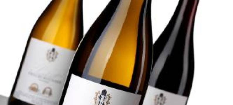 奥特斯坦德索夫弗赖因斯海姆酒店(Altstadthof Freinsheim)图片