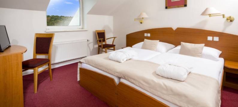 利比维达 Spa 度假村 - 诺维杜姆(Spa Resort Libverda - Hotel Nový Dům)图片