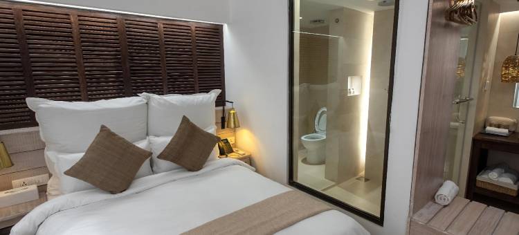 The Nanee(The Nanee)图片