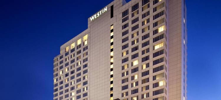 亚特兰大巴克海区特威斯汀酒店(The Westin Buckhead Atlanta)图片